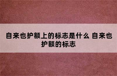 自来也护额上的标志是什么 自来也护额的标志